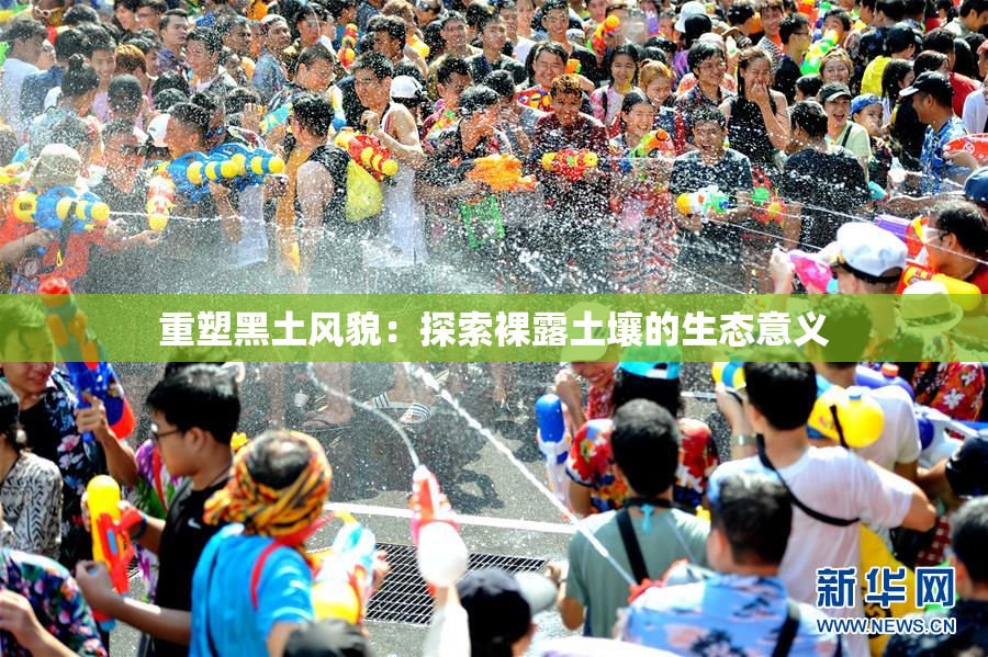 重塑黑土风貌：探索裸露土壤的生态意义