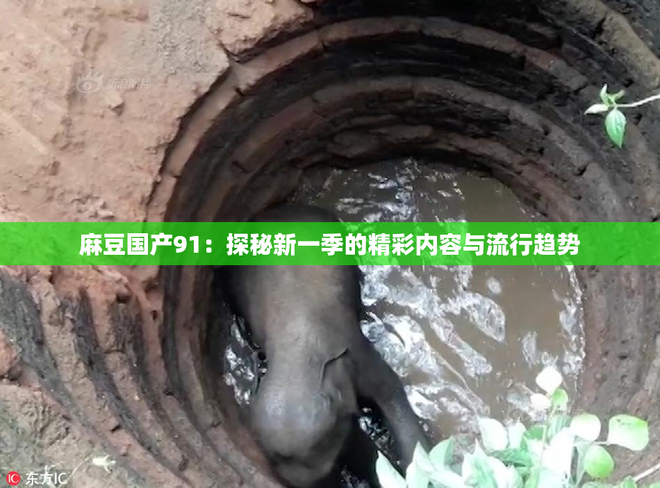麻豆国产91：探秘新一季的精彩内容与流行趋势