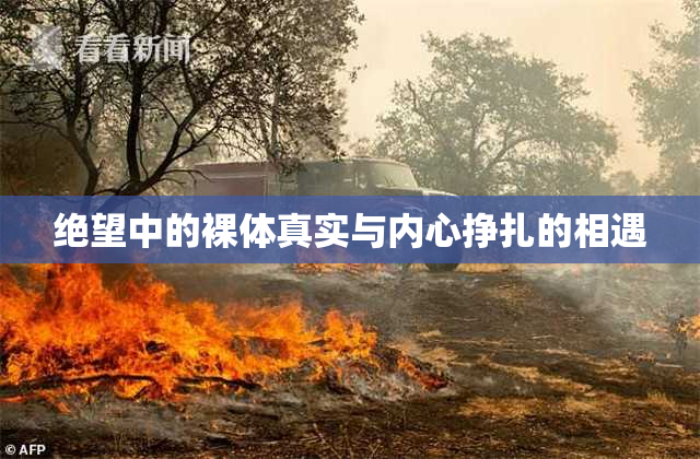 绝望中的裸体真实与内心挣扎的相遇