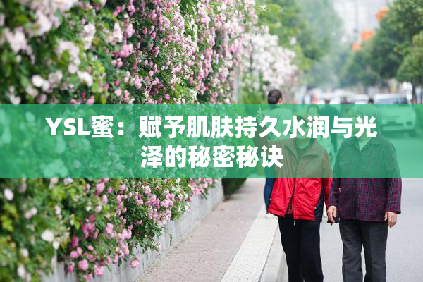 YSL蜜：赋予肌肤持久水润与光泽的秘密秘诀