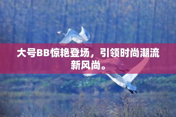 大号BB惊艳登场，引领时尚潮流新风尚。