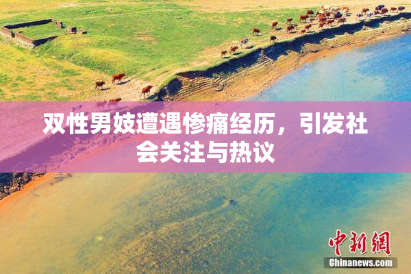 双性男妓遭遇惨痛经历，引发社会关注与热议