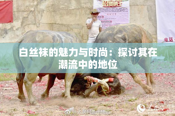 白丝袜的魅力与时尚：探讨其在潮流中的地位