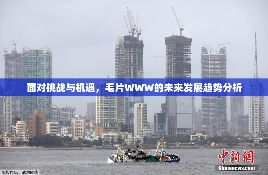 面对挑战与机遇，毛片WWW的未来发展趋势分析