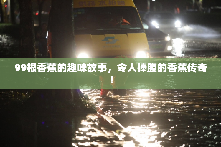 99根香蕉的趣味故事，令人捧腹的香蕉传奇！
