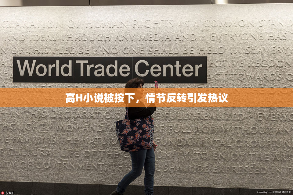 高H小说被按下，情节反转引发热议