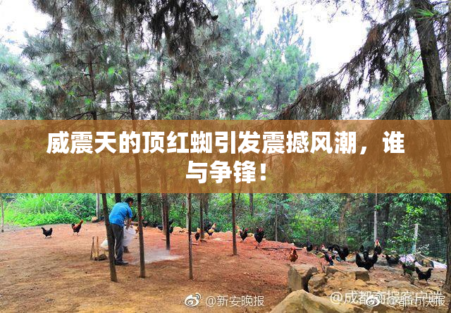 威震天的顶红蜘引发震撼风潮，谁与争锋！