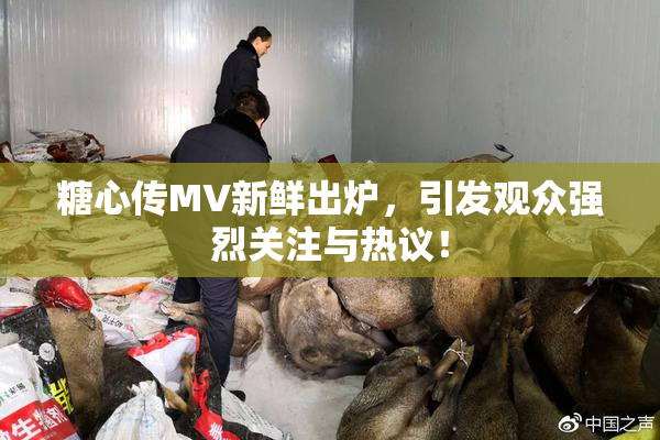 糖心传MV新鲜出炉，引发观众强烈关注与热议！