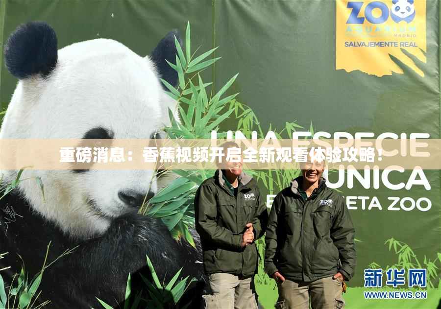 重磅消息：香蕉视频开启全新观看体验攻略！