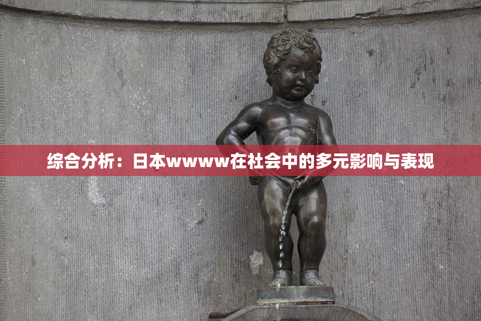 综合分析：日本wwww在社会中的多元影响与表现