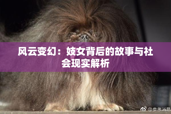 风云变幻：妓女背后的故事与社会现实解析