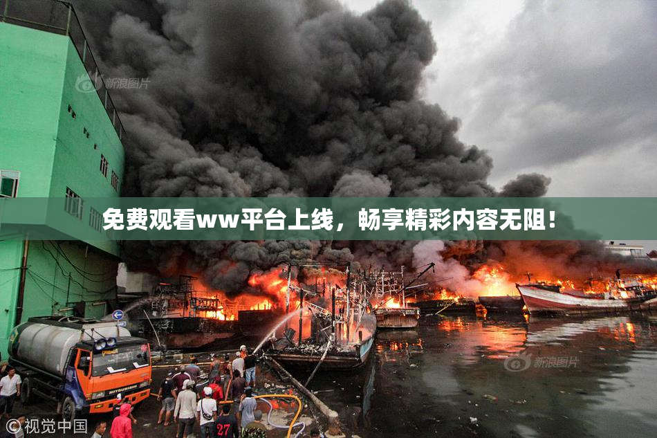 免费观看ww平台上线，畅享精彩内容无阻！