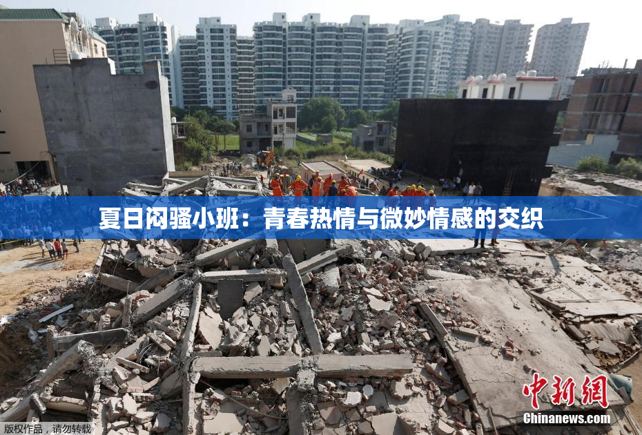 夏日闷骚小班：青春热情与微妙情感的交织