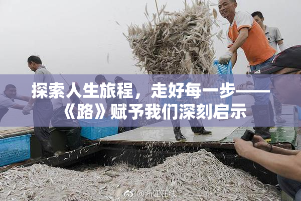 探索人生旅程，走好每一步——《路》赋予我们深刻启示