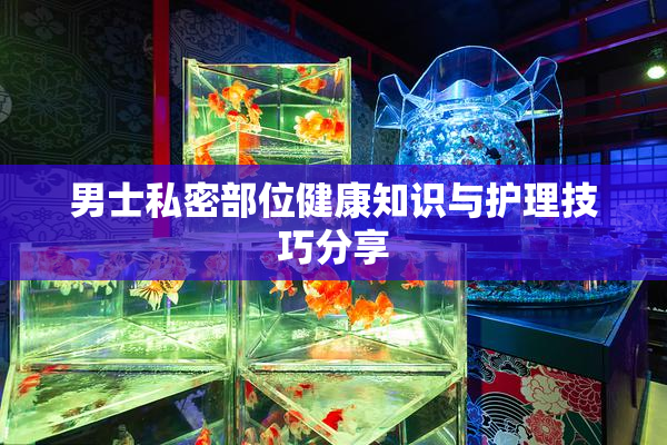 男士私密部位健康知识与护理技巧分享