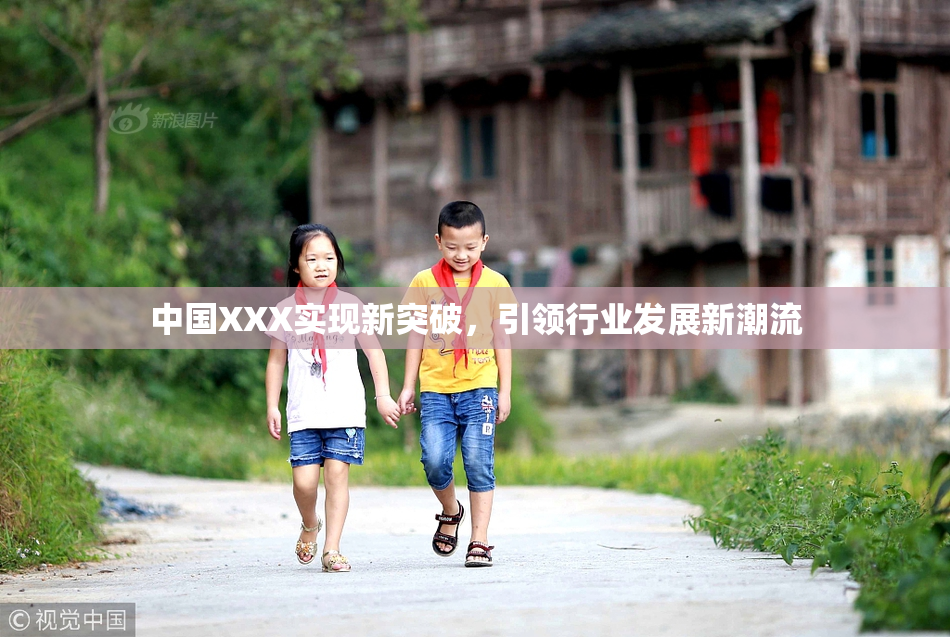 中国XXX实现新突破，引领行业发展新潮流