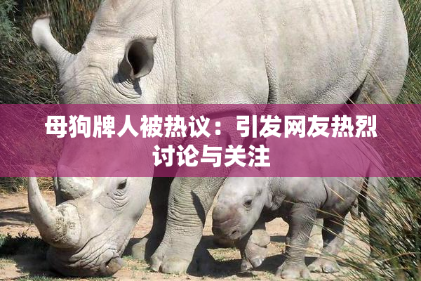 母狗牌人被热议：引发网友热烈讨论与关注