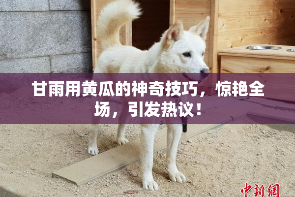 甘雨用黄瓜的神奇技巧，惊艳全场，引发热议！