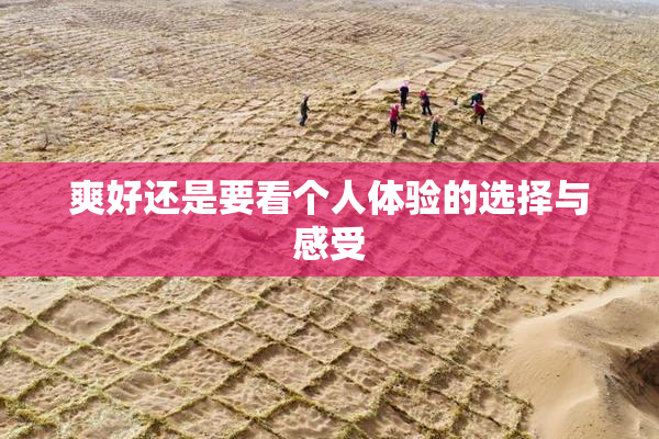 爽好还是要看个人体验的选择与感受