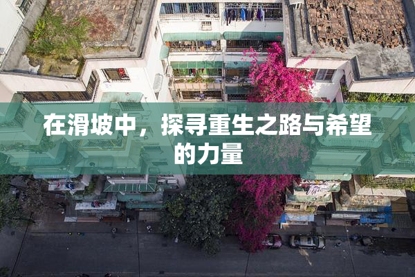 在滑坡中，探寻重生之路与希望的力量