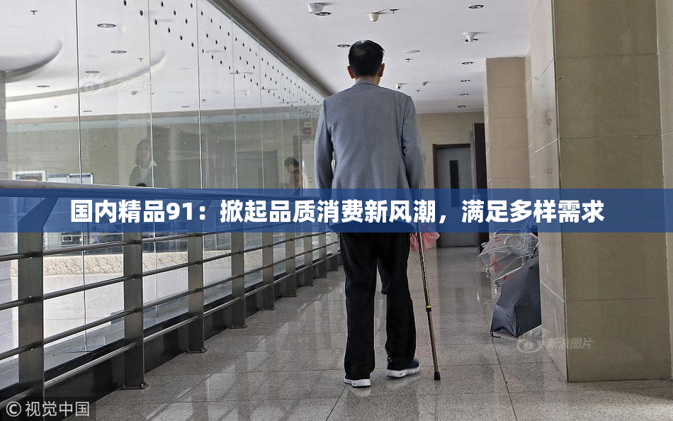 国内精品91：掀起品质消费新风潮，满足多样需求
