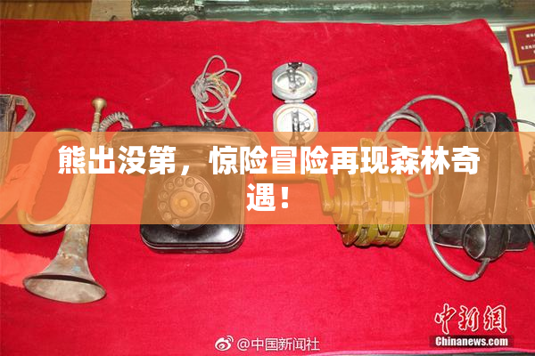 熊出没第，惊险冒险再现森林奇遇！