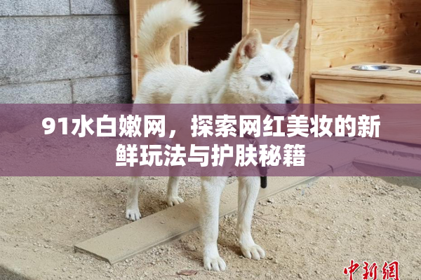 91水白嫩网，探索网红美妆的新鲜玩法与护肤秘籍