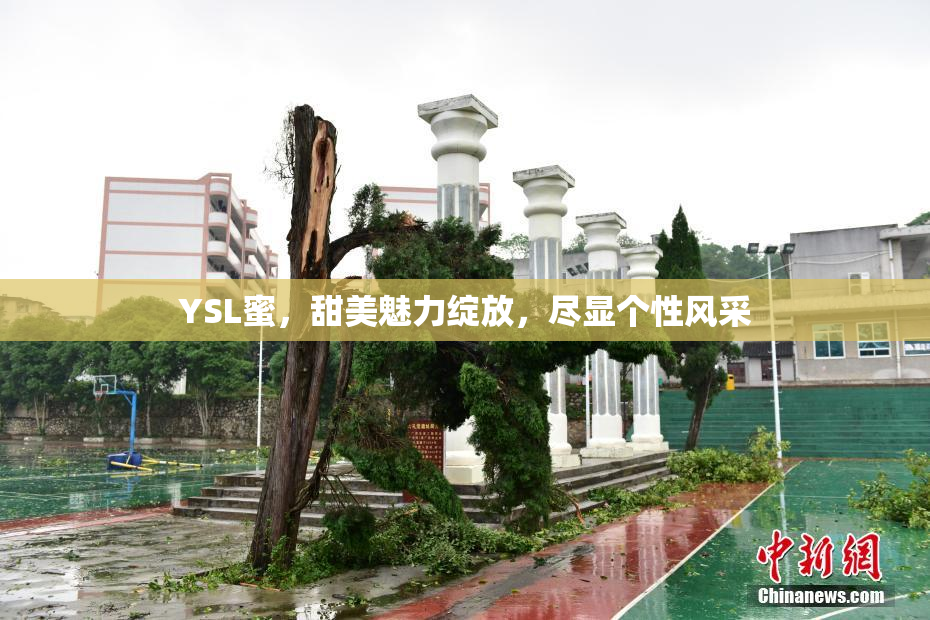 YSL蜜，甜美魅力绽放，尽显个性风采