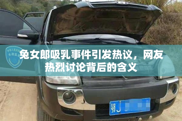 兔女郎吸乳事件引发热议，网友热烈讨论背后的含义
