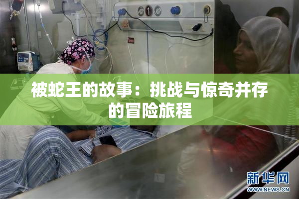 被蛇王的故事：挑战与惊奇并存的冒险旅程