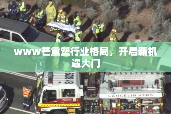 www芒重塑行业格局，开启新机遇大门
