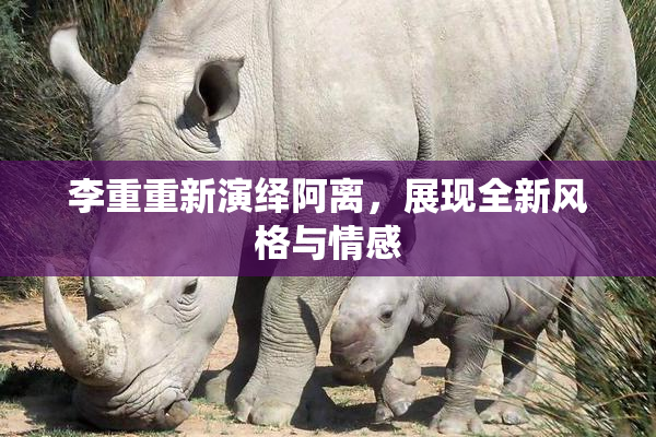 李重重新演绎阿离，展现全新风格与情感