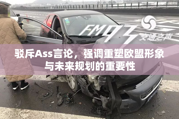 驳斥Ass言论，强调重塑欧盟形象与未来规划的重要性
