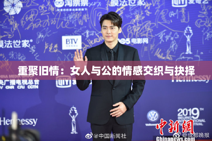 重聚旧情：女人与公的情感交织与抉择