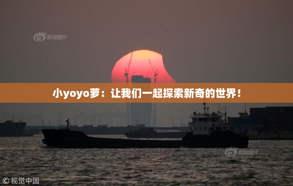 小yoyo萝：让我们一起探索新奇的世界！