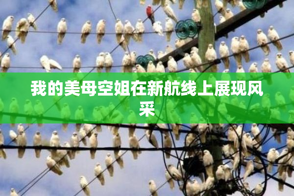 我的美母空姐在新航线上展现风采