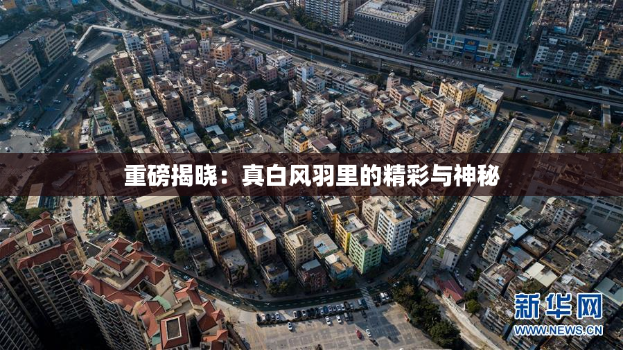 重磅揭晓：真白风羽里的精彩与神秘