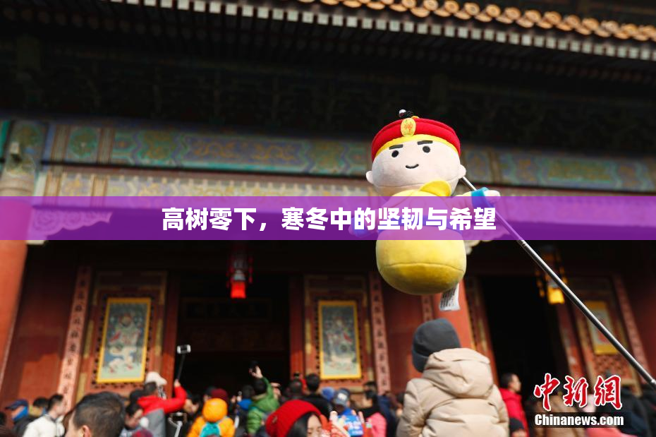 高树零下，寒冬中的坚韧与希望