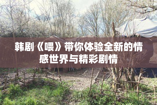 韩剧《喂》带你体验全新的情感世界与精彩剧情