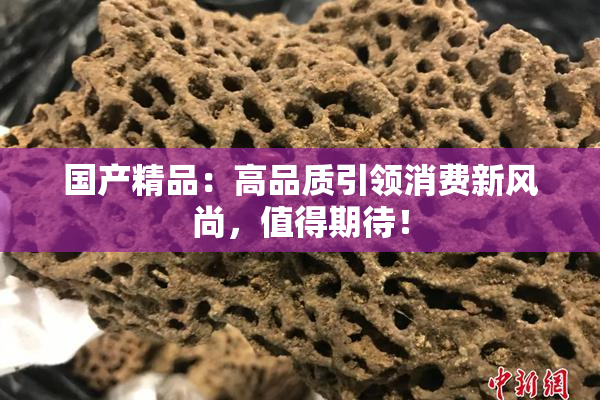 国产精品：高品质引领消费新风尚，值得期待！