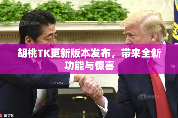 胡桃TK更新版本发布，带来全新功能与惊喜