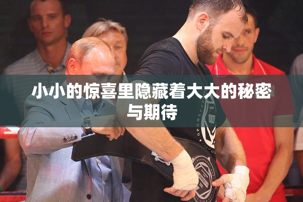 小小的惊喜里隐藏着大大的秘密与期待