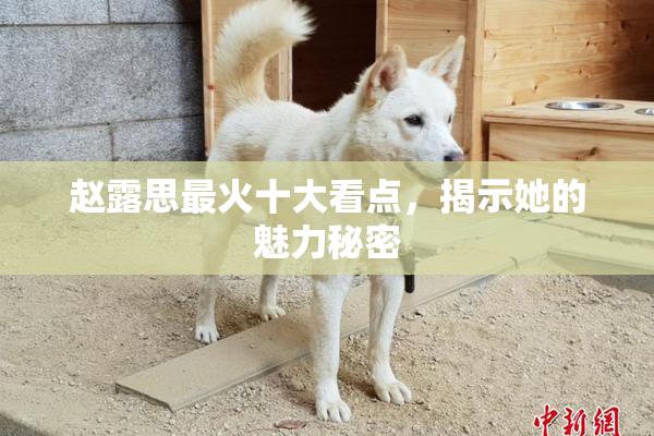 赵露思最火十大看点，揭示她的魅力秘密