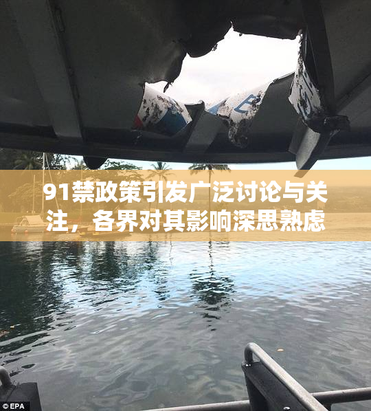 91禁政策引发广泛讨论与关注，各界对其影响深思熟虑