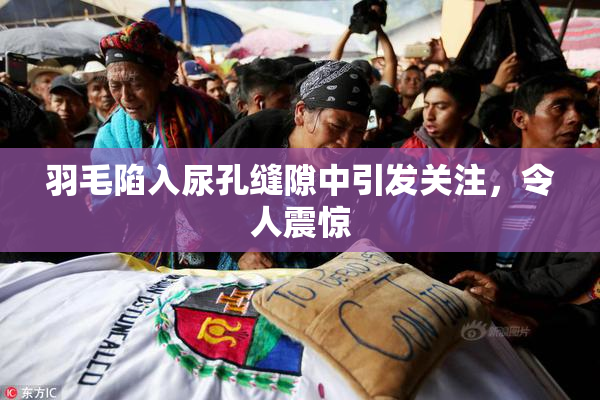 羽毛陷入尿孔缝隙中引发关注，令人震惊