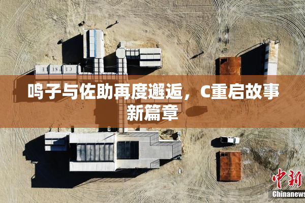 鸣子与佐助再度邂逅，C重启故事新篇章