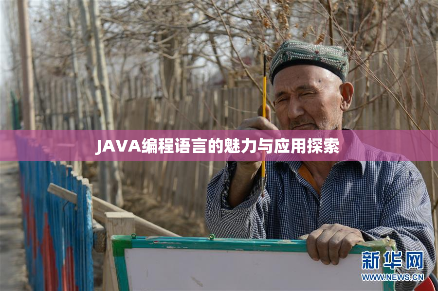 JAVA编程语言的魅力与应用探索
