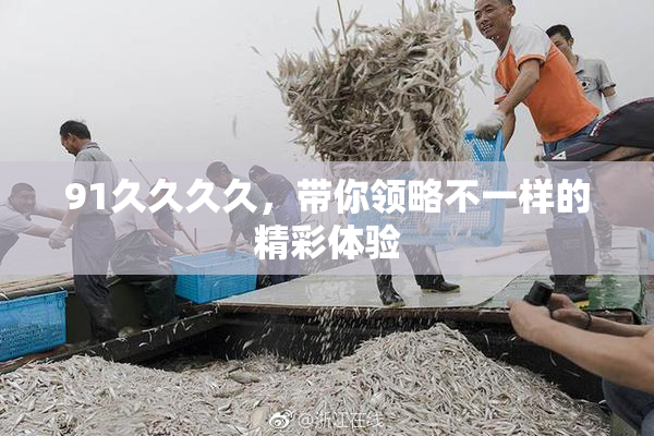 91久久久久，带你领略不一样的精彩体验