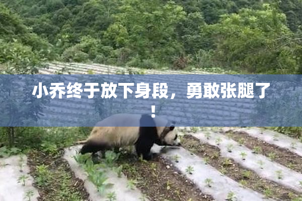 小乔终于放下身段，勇敢张腿了！