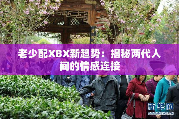 老少配XBX新趋势：揭秘两代人间的情感连接
